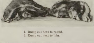 Diagram from the 1896 book showing identified cuts of beef